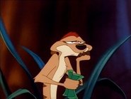 Timón y Pumba 1x4