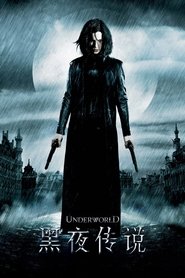 黑夜传说 (2003)