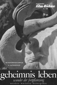 Geheimnis Leben - Wunder der Fortpflanzung (1966)