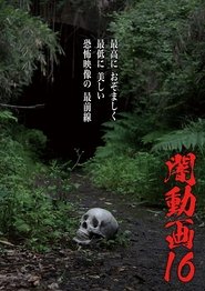Tokyo Videos of Horror 16 (2017)