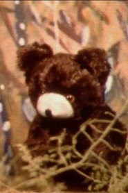Little Bear Story