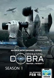 Poster for Season 1