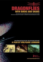 Poster Dragonflies with Birds and Snake 2012