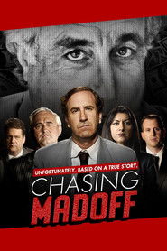 Chasing Madoff (2010)