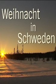 Poster Lichterglanz und Schneegestöber - Weihnacht in Schweden 2013