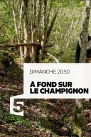 Poster A fond sur le champignon 2017