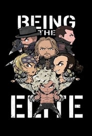 Being The Elite 2016