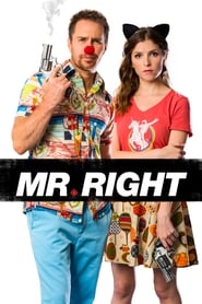 Poster Mr. Right 2016