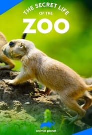The Secret Life of the Zoo: Season 8