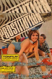 Affiche de Prostitution: The Call Girl
