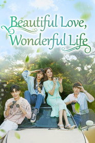 Beautiful Love, Wonderful Life (2019)