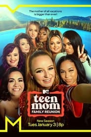 Teen Mom: Family Reunion постер