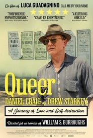 Queer (2024)
