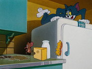 The Missing Mouse