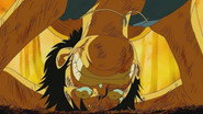 Eliminated Friends – The Final Day of the Straw Hat Crew