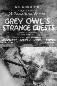 Poster Grey Owl's Strange Guests 1934