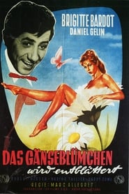 Poster Das Gänseblümchen wird entblättert