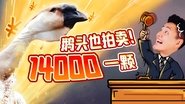 Episode 29