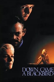 Down Came a Blackbird 1995 مشاهدة وتحميل فيلم مترجم بجودة عالية