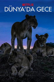 D&uuml;nya'da Gece (2020)