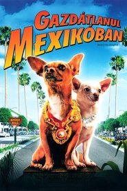 Gazdátlanul Mexikóban (2008)