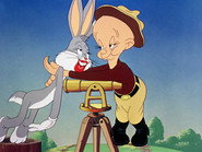The Unruly Hare