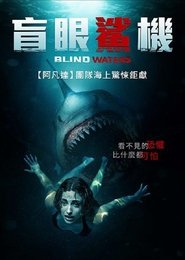 盲水 (2024)