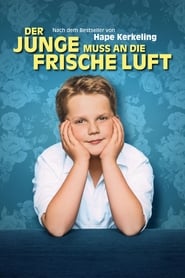 Der Junge muss an die frische Luft ネタバレ