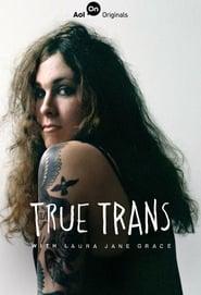 True Trans Episode Rating Graph poster