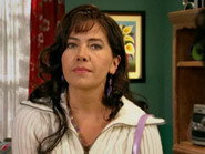 Los Chiles de la Discordia