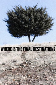 Where is the Final Destination? (2024)