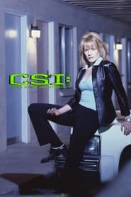 CSI: Місце злочину постер