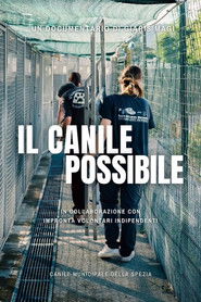 Il Canile Possibile