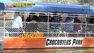 Tiger Butterfly Tour (2)