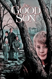 The Good Son