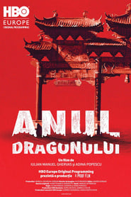 Poster Anul dragonului