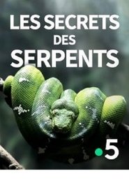 The Secrets of the Snakes (2016)