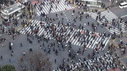 Shibuya: Spring Flowers and Bartering