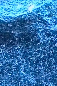 Poster Microscopías 2003