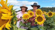 Darling Downs, QLD
