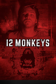 12 мавп постер