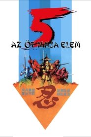 Az 5 ninja elem poszter