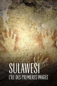 Sulawesi - Am Anfang war die Höhlenmalerei