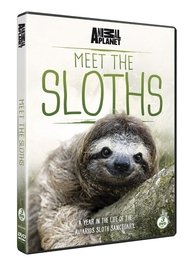 Meet the Sloths Mwaka 1