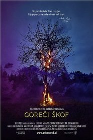 Poster The Burning Bishop 2017