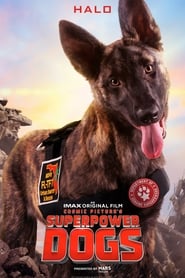 Superpower Dogs постер