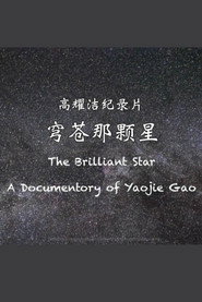 The Brilliant Star：A Documentory of Yaojie Gao 2019