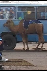 Live and live in Fergana (2009)