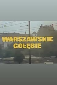 Poster Warszawskie gołębie