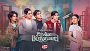 Private Bodyguard en streaming